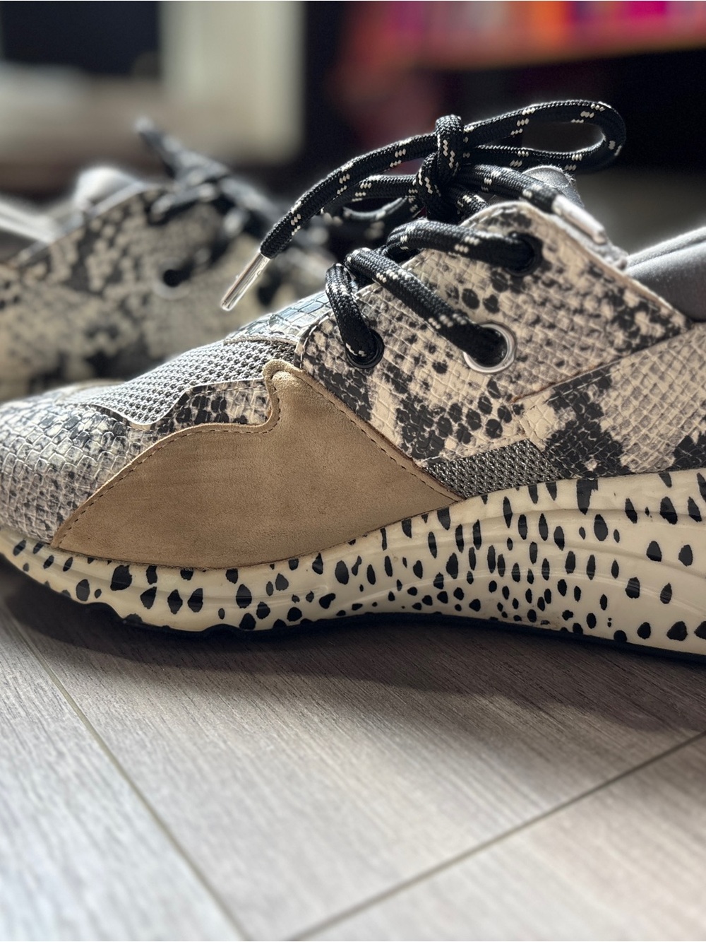 Women's Neutral Snake-Print Lace-Up elevated sneaker Steve Madden